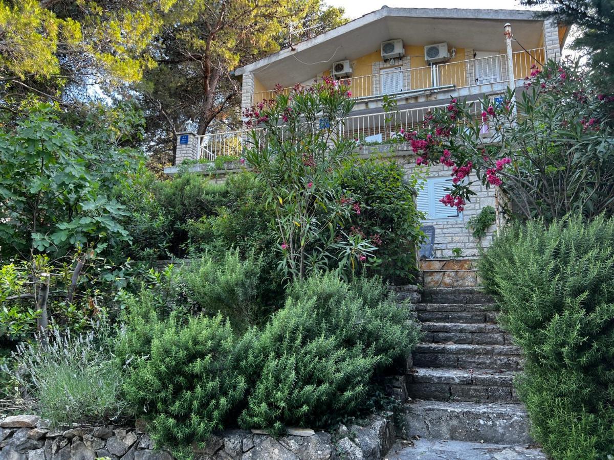 Apartmani Lidija Karin Donji Donji Karin Екстер'єр фото